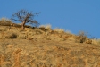 The granite slopes of Erongo Mountains