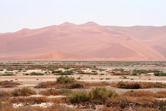 Towering star-shaped dunes, Sossusvlei