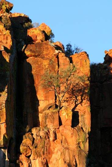 The magnificent sandstone formations of the Waterberg Plateau