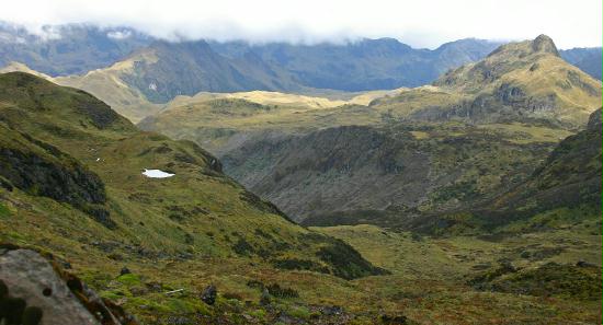 Papillacta Pass, 4000m