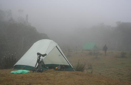 Camp site, Pillahuata, Andes