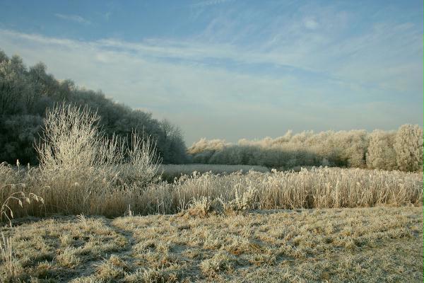 Witton Brook, Northwich Community Woodlands, Marbury