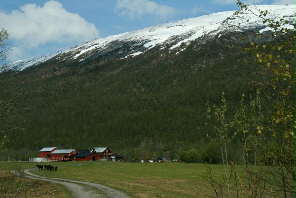 Todal, Trollheimen