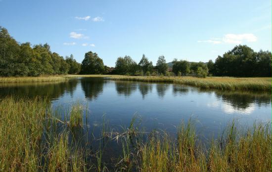 Tulloch Moor, Highlands
