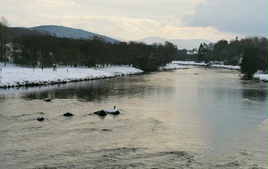 River Spey, Nethybridge, Highlands