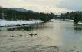 River Spey