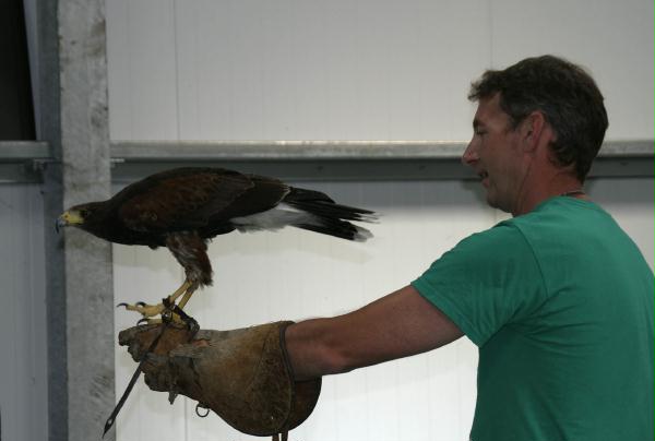 Trip to Birds of Prey Centre, Knutsford, 30th June 2010