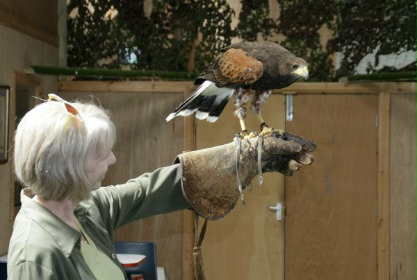Trip to Birds of Prey Centre, Knutsford, 30th June 2010
