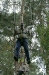 Going Ape, Delamere Forest, 5th Sep 2010