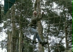Going Ape, Delamere Forest, 5th Sep 2010